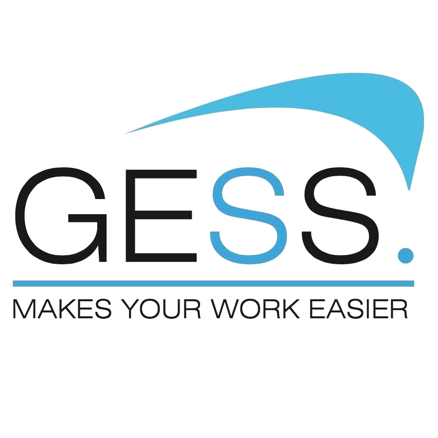 GeSS Ltd